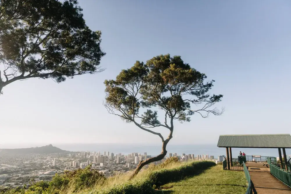 flights-to-cape-town